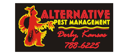Alternative