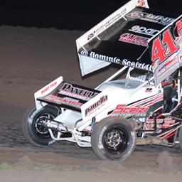 Dominic Scelzi